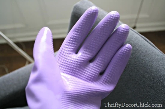 remove pet fur with rubber glove