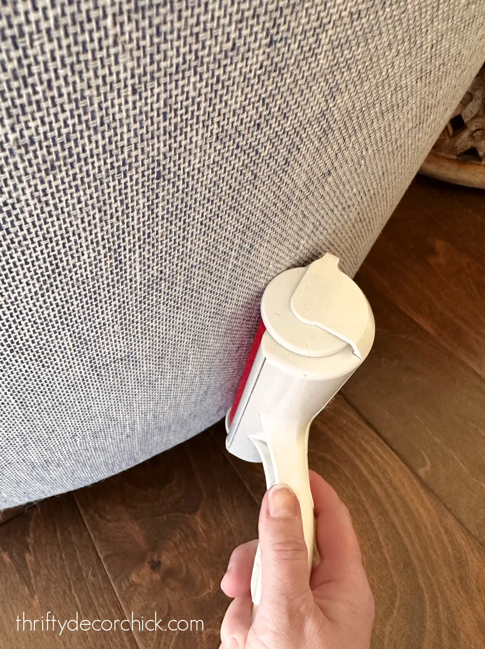 removing pet hair from couches