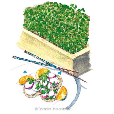 umami asian blend microgreens seeds