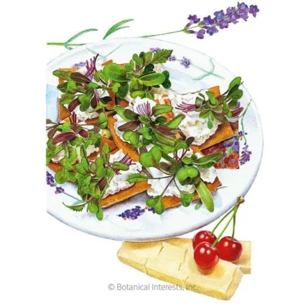 mild mix microgreens seeds