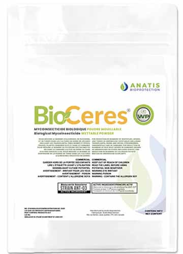 a close up of a packet of bioceres isolated on a white background.
