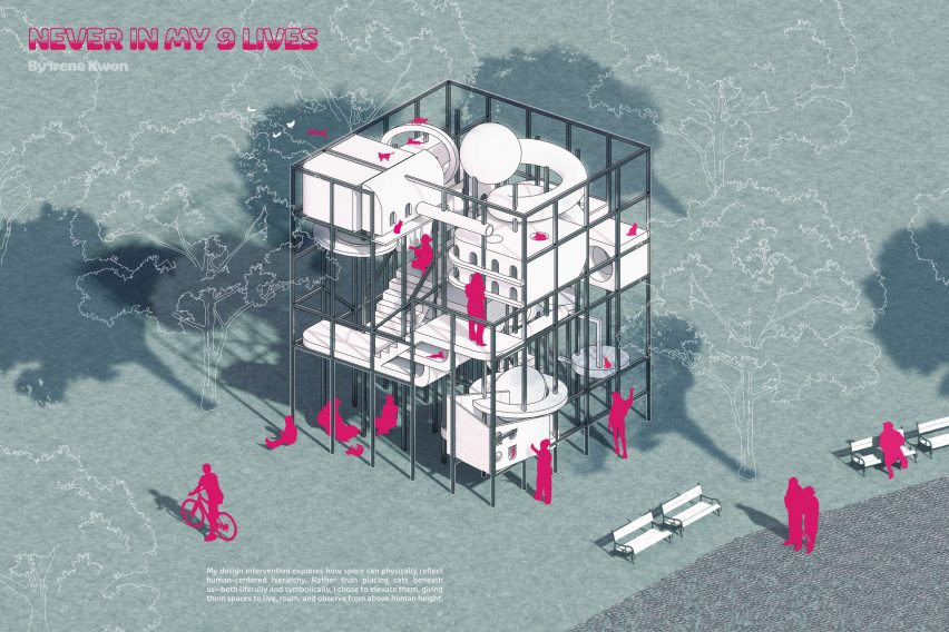 mycelium data storage device among projects from parsons school of design at the new school 4 never in my nine lives by irene kwon