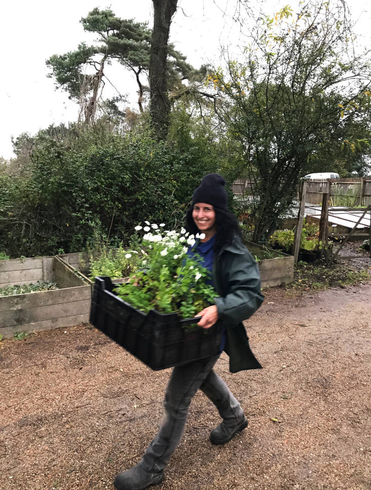 quick takes with: julie weiss