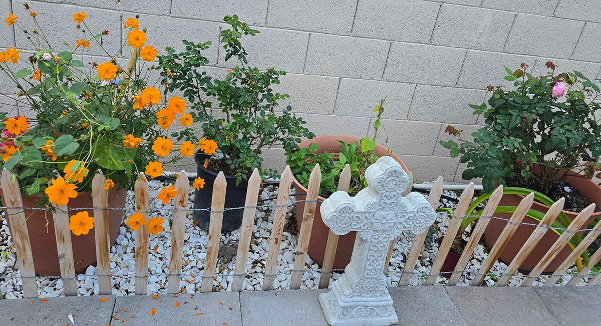 memorial garden with container plants