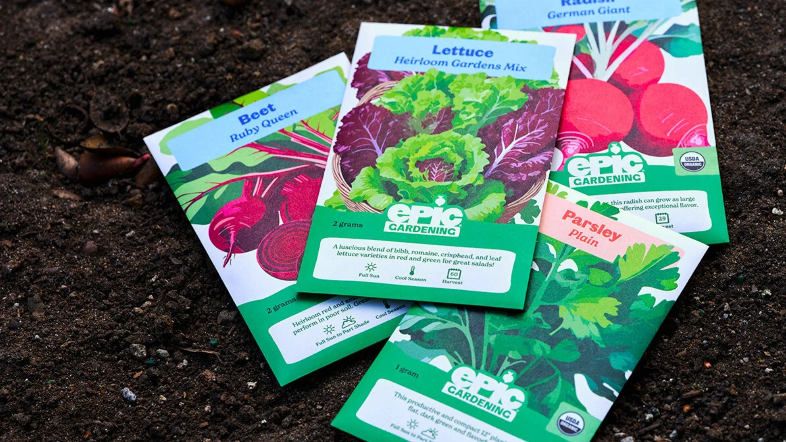 packets of beetroot, lettuce, radish, and parsley ovules rest on freshly turned soil, all situated in a well lit area outdoors