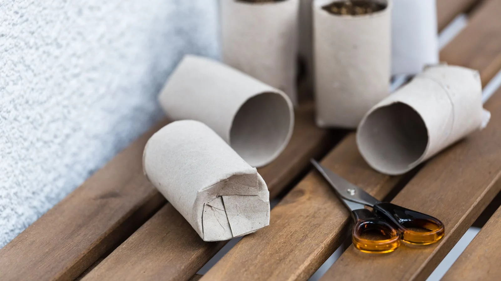 a close-up shot of a small composition of several empty cores of a tissues, placed alongside scissors in a well lit area outdoors
