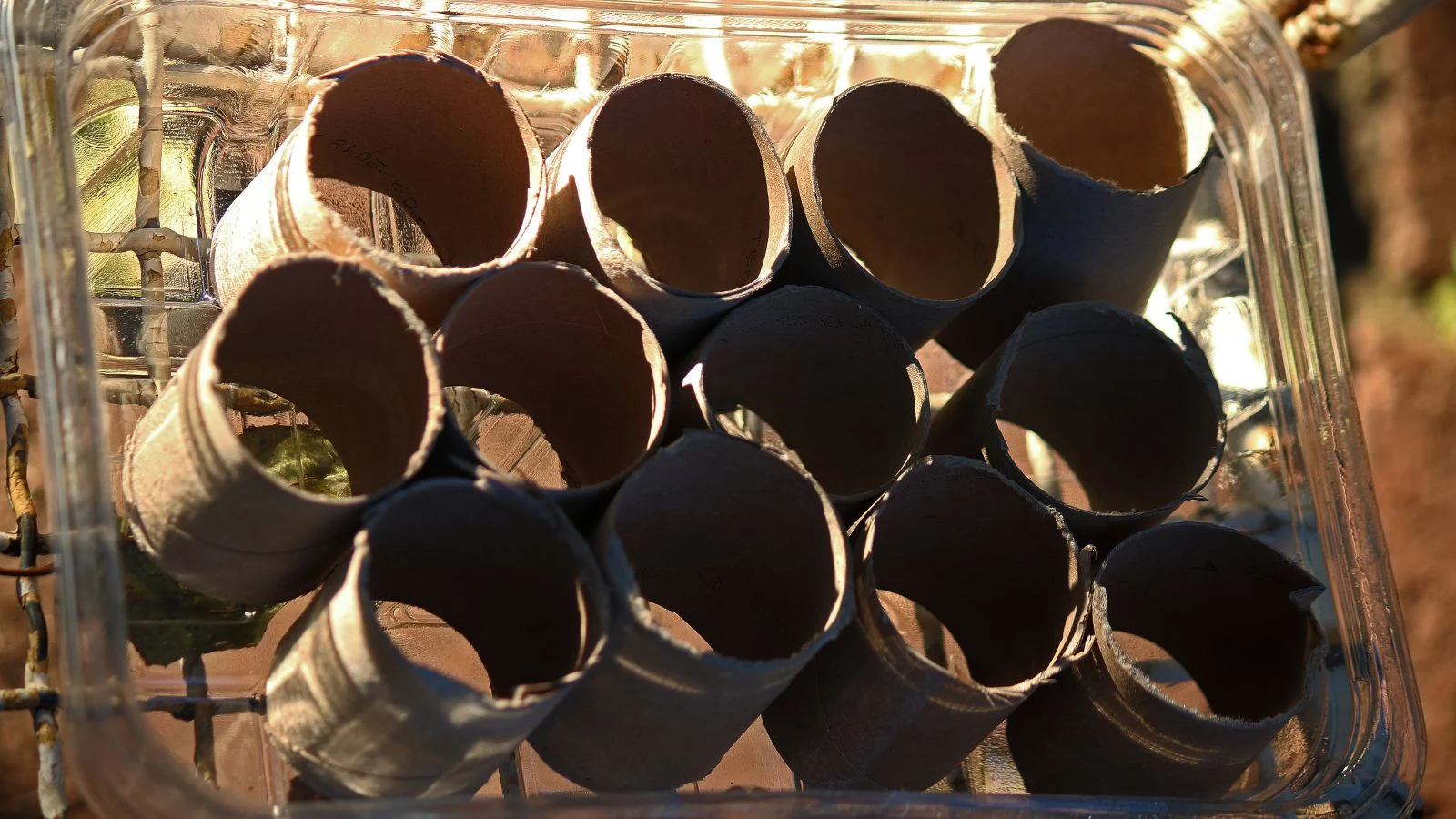 a close-up and overhead shot of several cut cores of tissues, placed on a tray, serving as diy starting tray, all situated in a well lit area