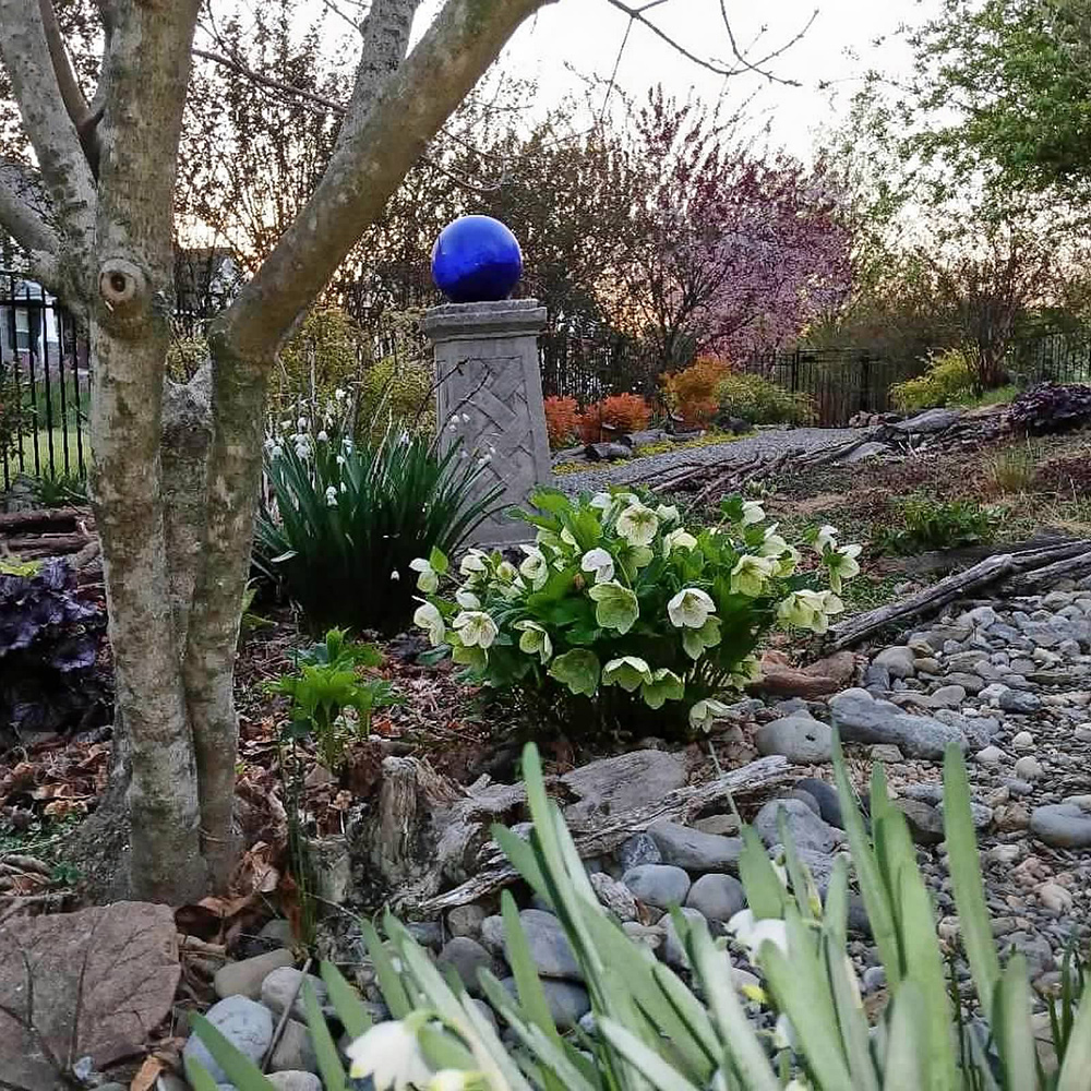 early spring garden