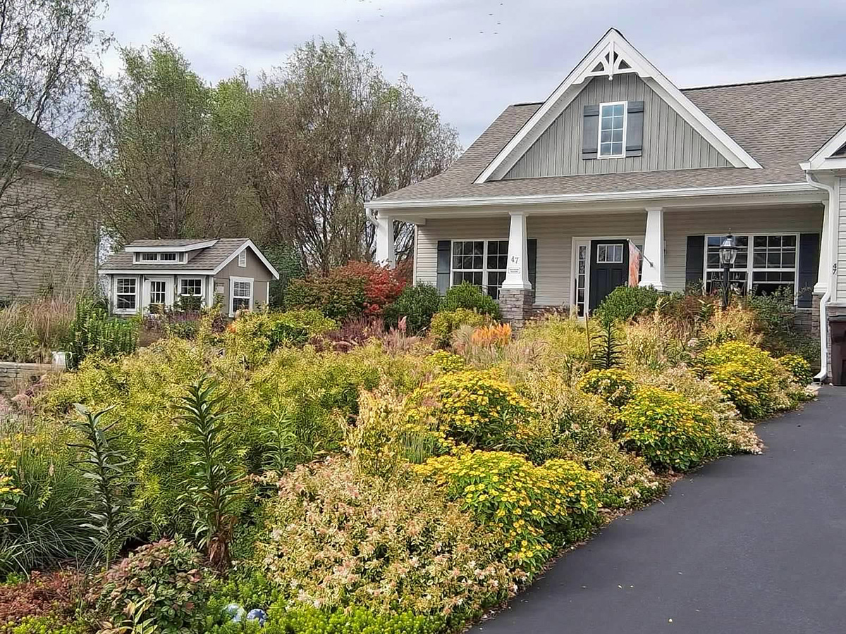 fall garden full of yellow flowers