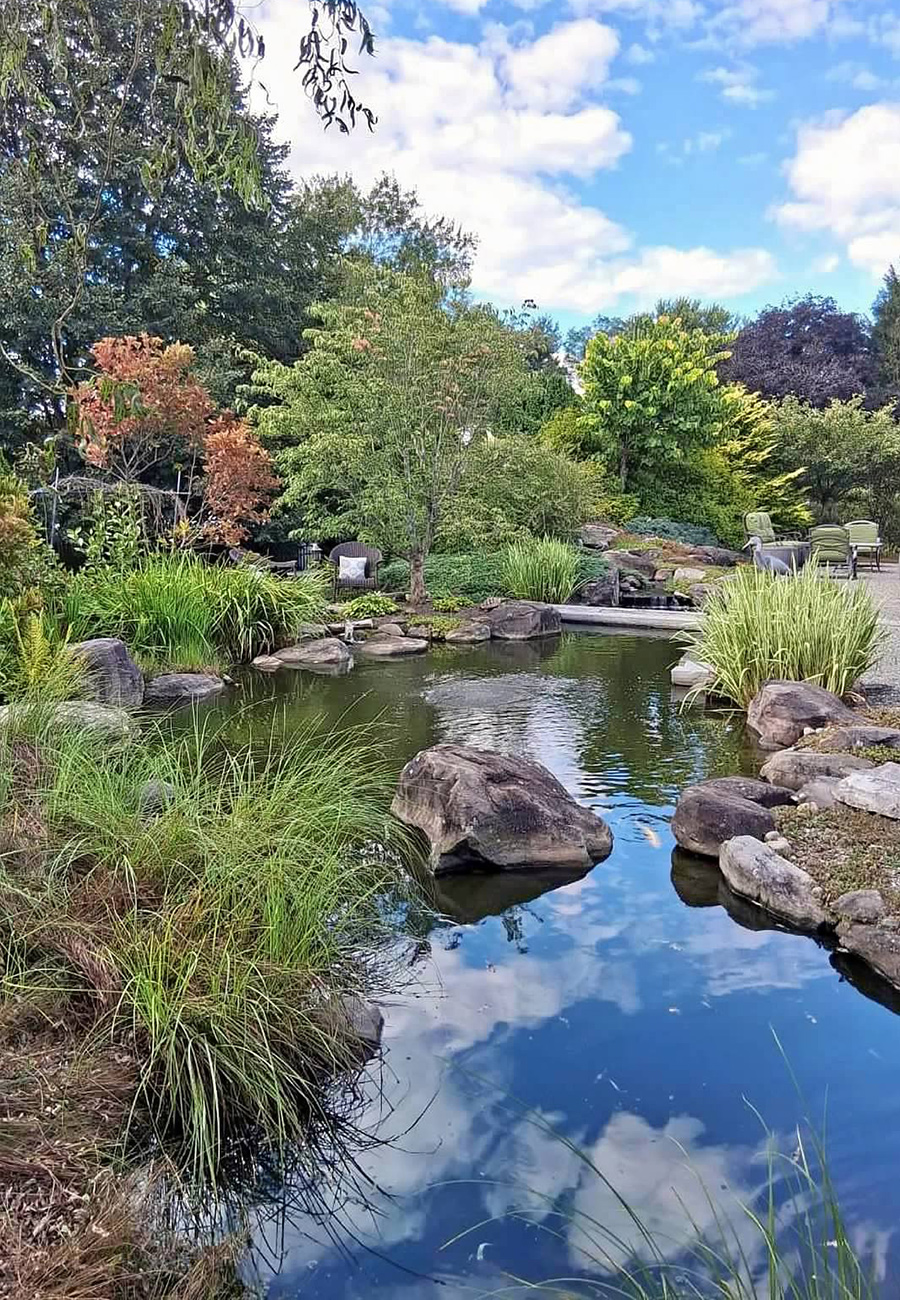 clouds reflected in garden pond