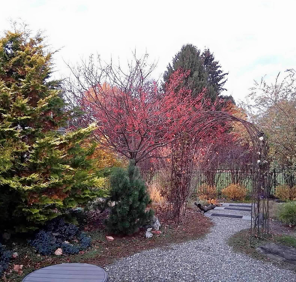 fall garden with red and orange foliage