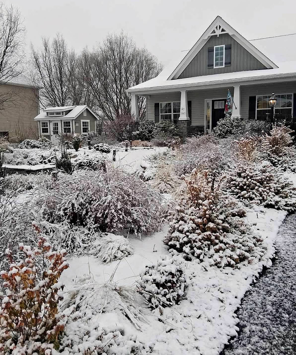 front garden covered in snow