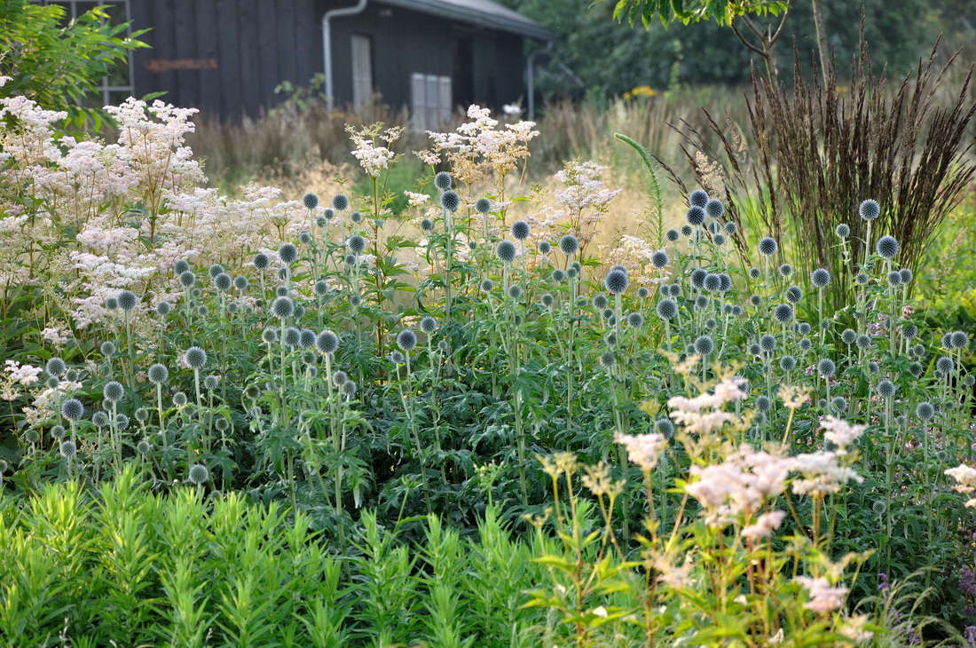 because plants with good structure tend to bloom later, frank notes that the successful four-season garden 