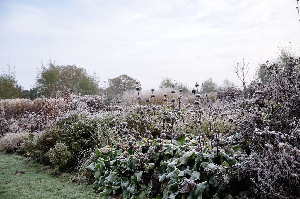 Expert Advice: 9 Tips for a Moody Winter Garden