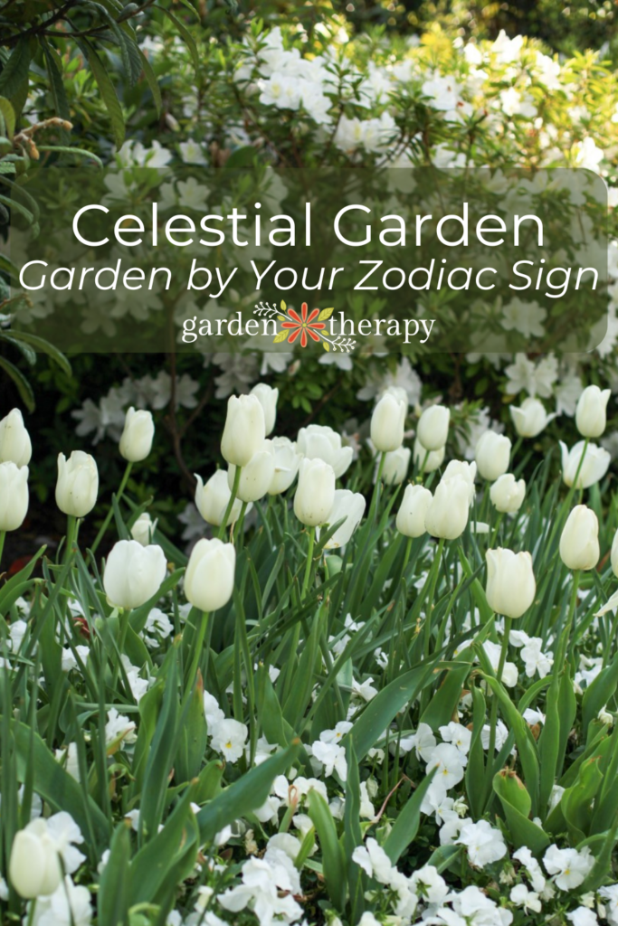 pin image for the celestial garden: how to garden by your zodiac sign.