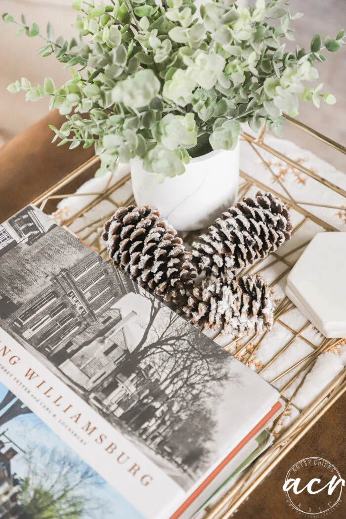 tray on ottoman with green plant, pine cones and book