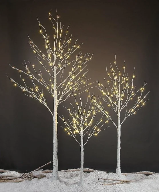birch style trees with lights on branches tall