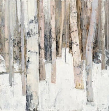 birch trees in the snow