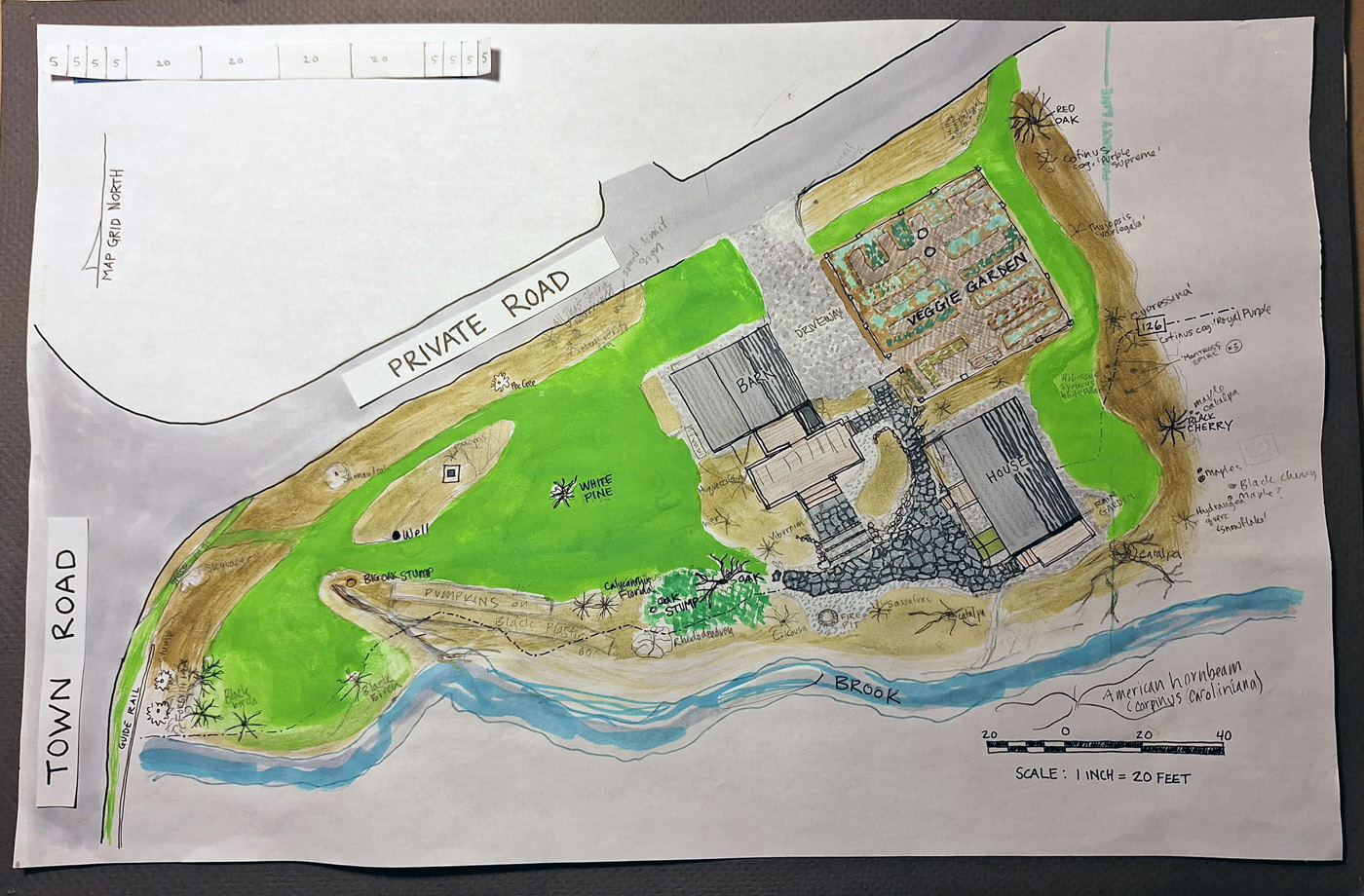 carol collins site plan 1
