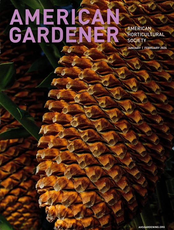 i'm in american gardener writing about summerhome 1 american gardener writing