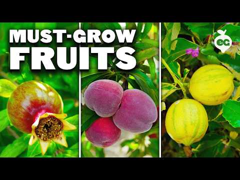5 plants to prune this month 3 youtube video