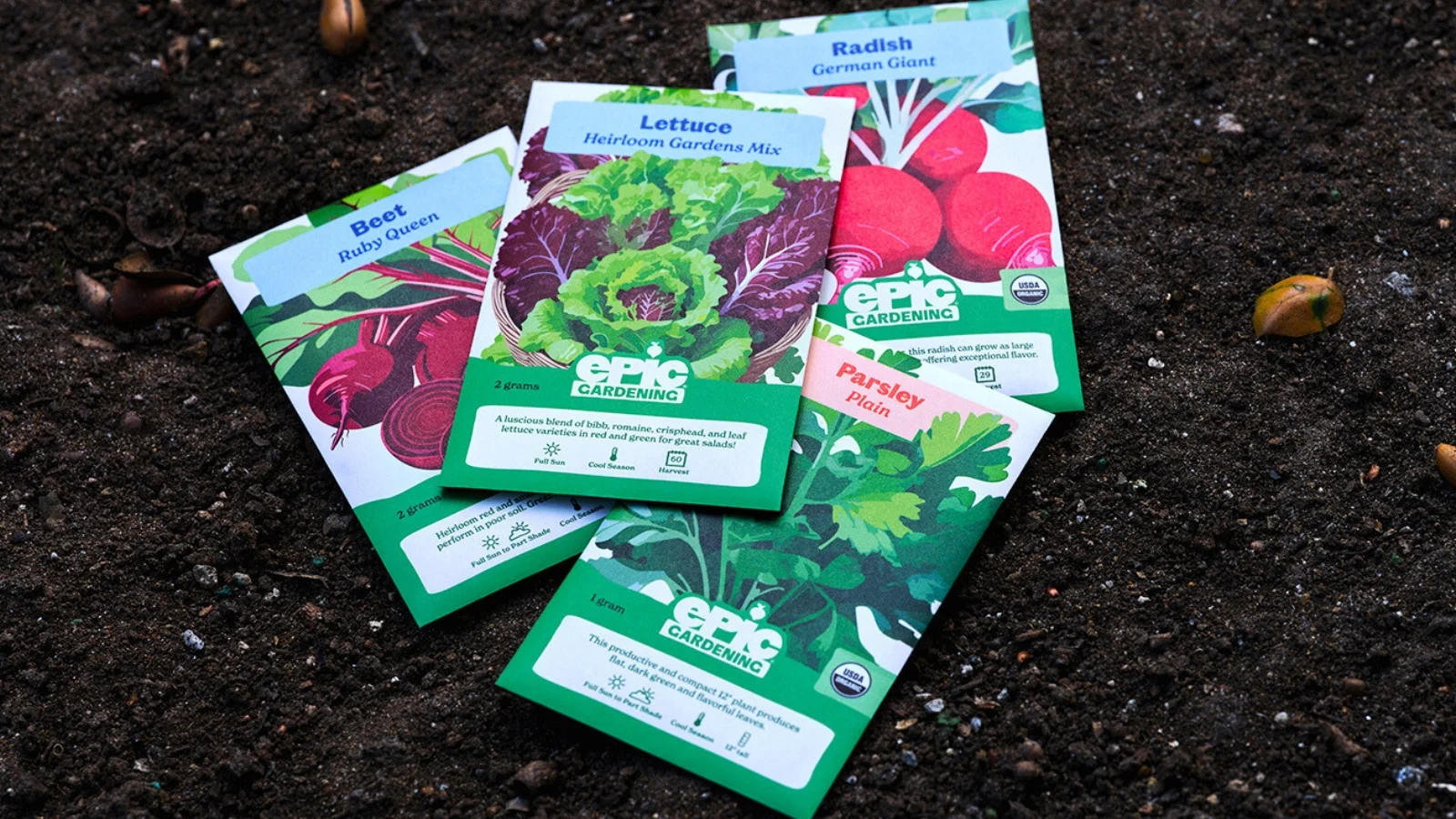 four seed packets containing lettuce, radish, beetroot and parsley seeds lie on black-brown soil.