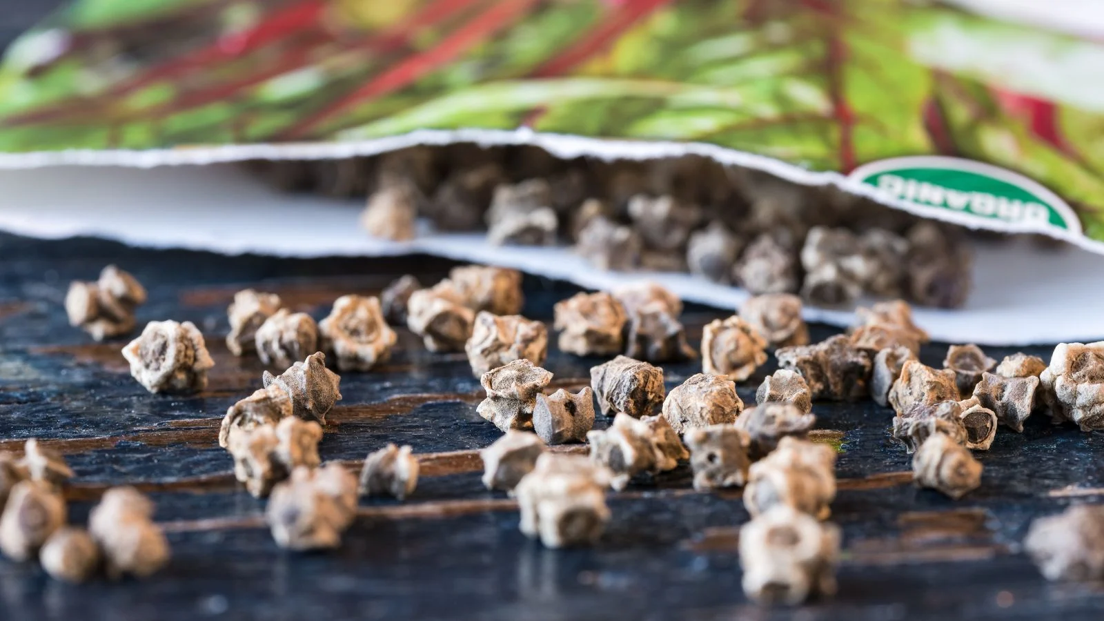 a close-up shot of a composition of scattered seeds from a seed packet, all placed on a black surface indoors