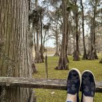 Feet up at Caddo Lake, plus mosaic car art