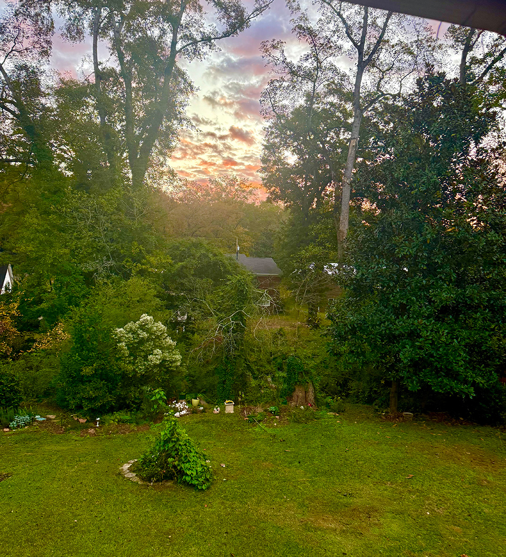 sunrise in fall garden