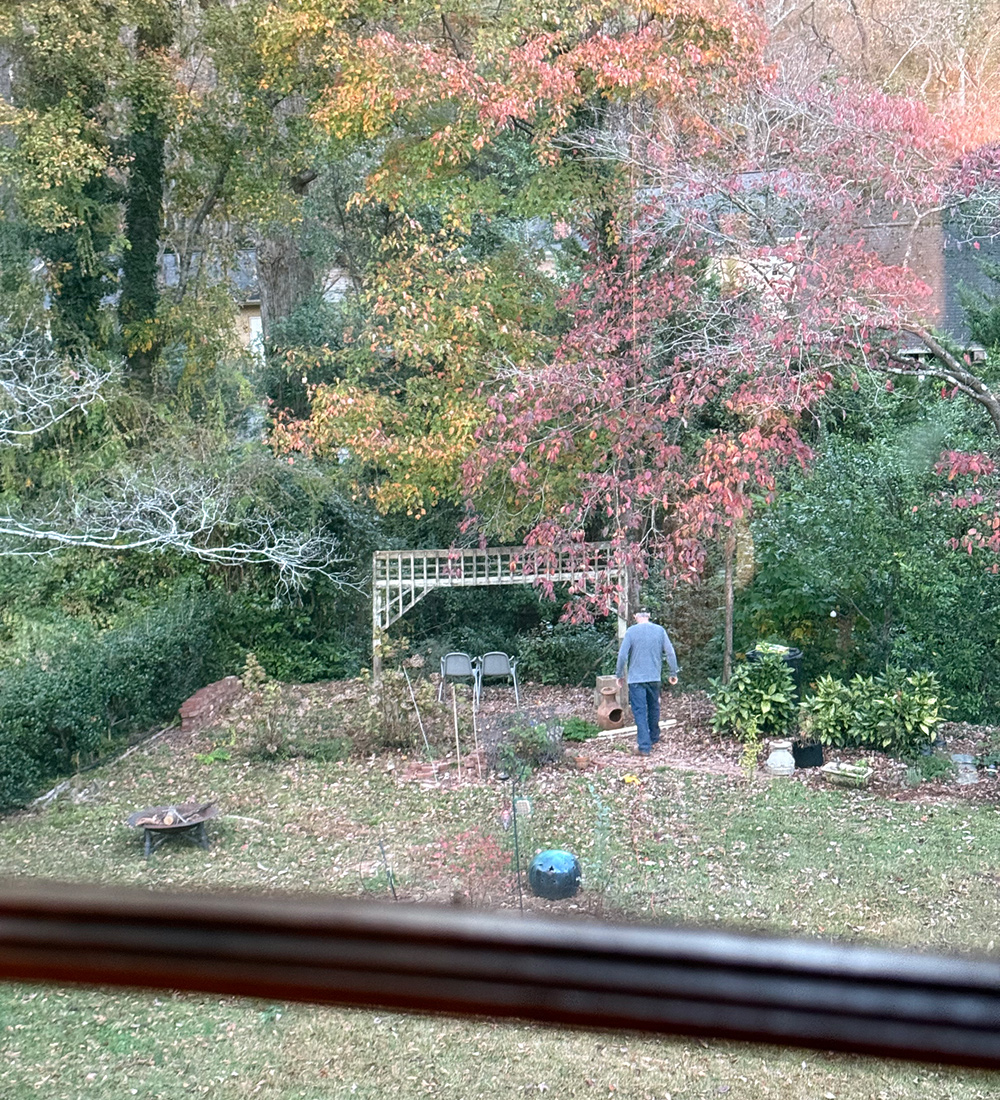view of fall garden from upstairs window