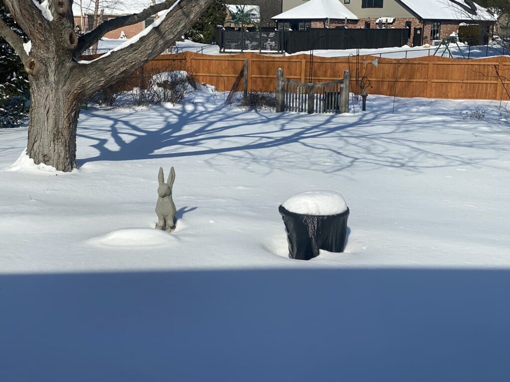 garden fairies provide