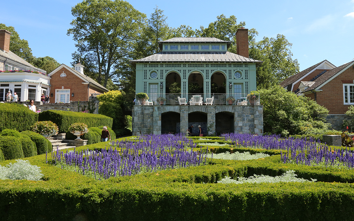 formal boxwood garden