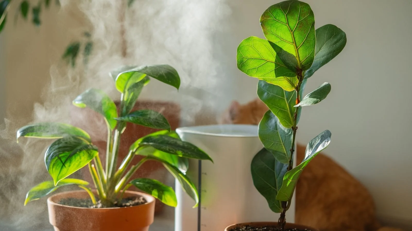 a close-up shot of a composition of potted houseplants, placed alongside a humidifier, all situated in a well lit area indoors