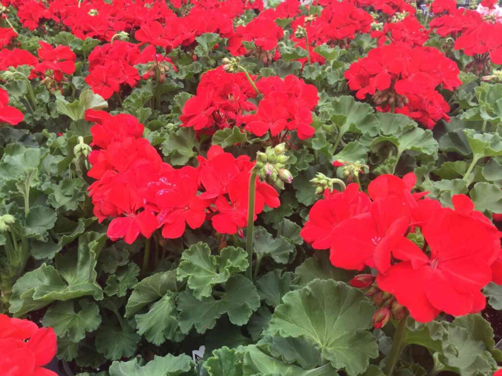 26 beautiful spring flower bed ideas for your garden 73 26 beautiful spring flower bed ideas for your garden