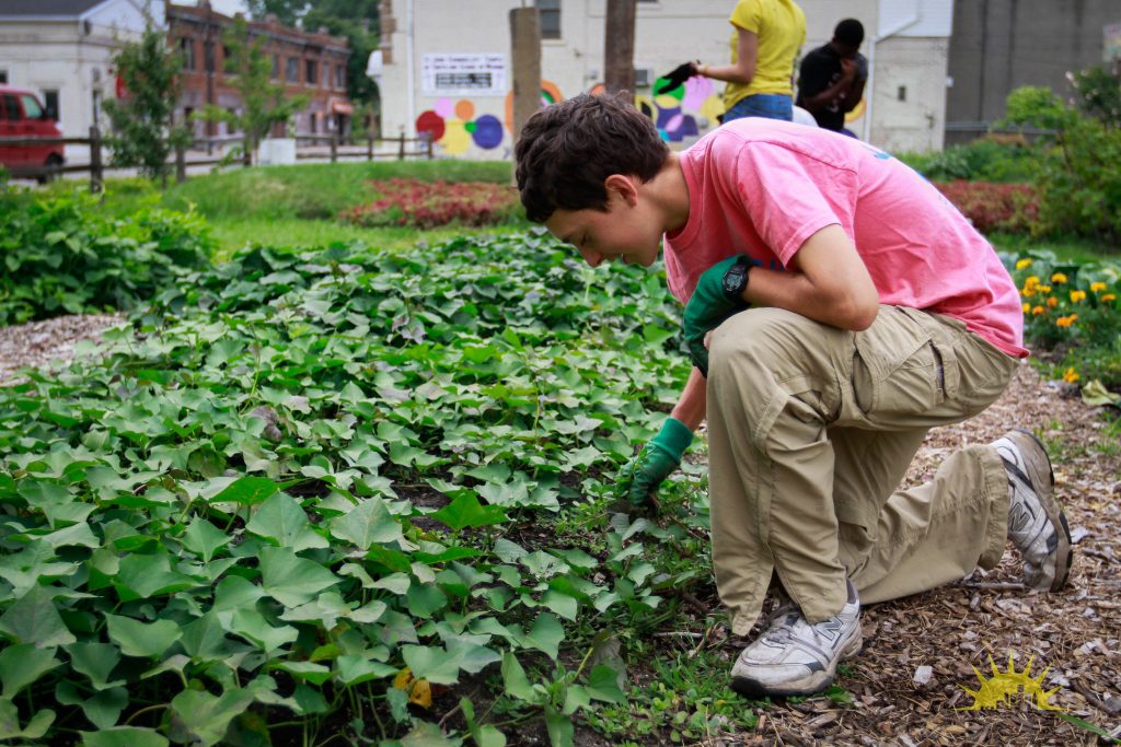 Growing Together: How Gardening Builds Community and Connection