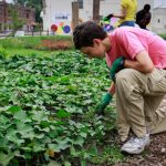 Growing Together: How Gardening Builds Community and Connection Growing Together: How Gardening Builds Community and Connection