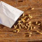 How Long Do Seeds Last? 3 Ways to Test Viability How Long Do Seeds Last? 3 Ways to Test Viability