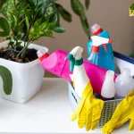 5 Tips to Avoid Mold and Mildew