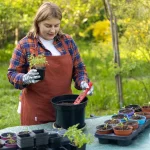 When to Move Your Tomato Seedlings into Larger Pots (Without Damage) When to Move Your Tomato Seedlings into Larger Pots (Without Damage)