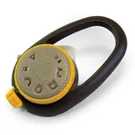 add succulent color and architectural intrigue with ‘gold nugget’ hens and chicks