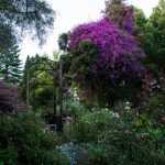 Garden Visit: Beverley McConnell’s 12 Acres of Eden