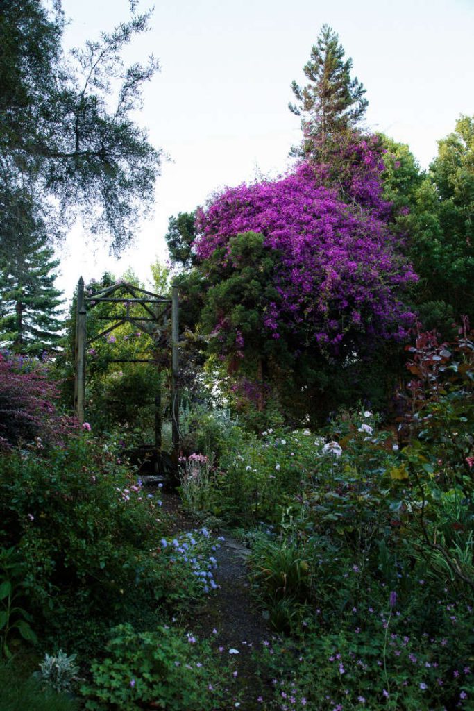 Garden Visit: Beverley McConnell’s 12 Acres of Eden