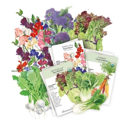 cool season garden seed bundle