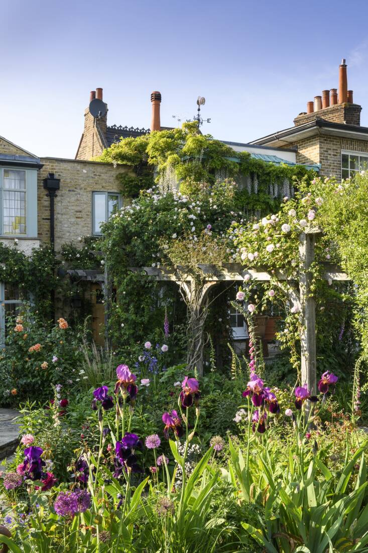 benton irises and roses mingle in this romantic london garden designed by thompson. photograph by jason ingram, from the new romantic garden. see 6 ideas to try from landscape designer jo thompson’s ‘the new romantic garden’.