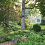 turn off the news and get outdoors | letter from the editor