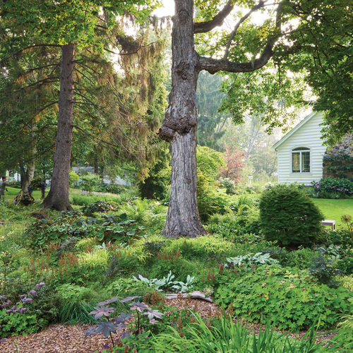 Turn Off the News and Get Outdoors | Letter from the Editor