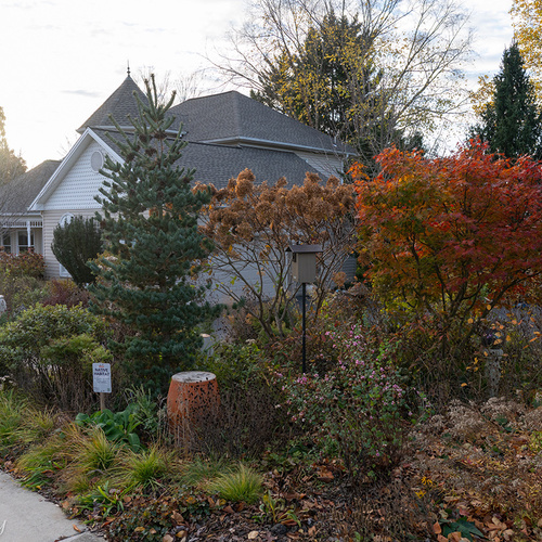 Kevin’s Pennsylvania Garden in 2025