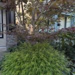 Cherry Looks Back at Her September Garden, Part 2