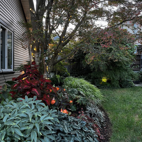 Cherry Looks Back at Her September Garden, Part 1