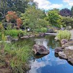 Marty’s 2025 Garden Highlights, Part 2